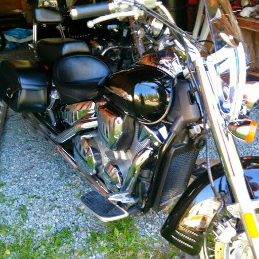 Lynne Swanson Photo 17