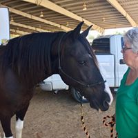 Judy Haller Photo 10