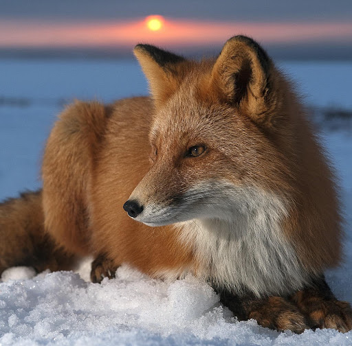 Elizabeth Shaffer Photo 23