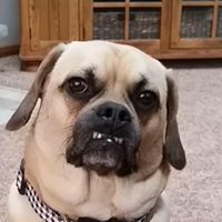 Steven Atkins Photo 23