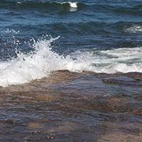 Judi Jenkins Photo 16