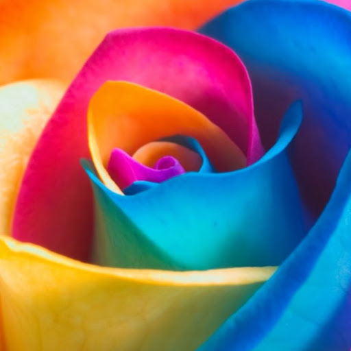 Kathy Ramirez Photo 35