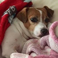 Ellen Thornton Photo 15