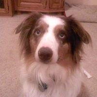 Ann Cartwright Photo 18 Ann Cartwright Photo 18