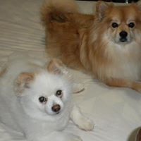 Nancy Ferrell Photo 33 Nancy Ferrell Photo 33