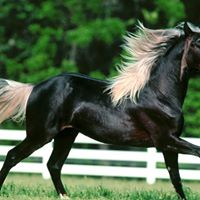 Sally Thompson Photo 15