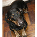 Judy Amado Photo 11