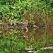 Jay Stover Photo 16