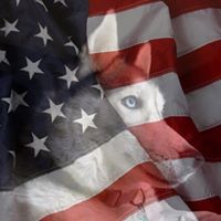 Carrie Magee Photo 3