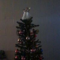 Deborah Blevins Photo 16