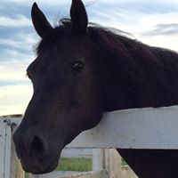 Rebecca Bischoff Photo 24