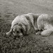 Mary Hamrick Photo 21
