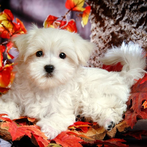 Stephanie Benitez Photo 16