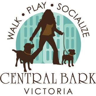 Jill Macdonald Photo 38