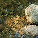 Crystal Gill Photo 15