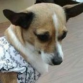 Angie Urbina Photo 17