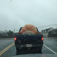 Glenn Peters Photo 21