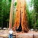 Sarah Yoder Photo 19
