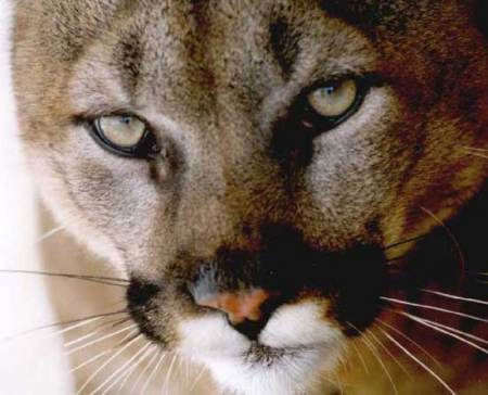 Christy Wooten Photo 14