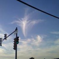 Edna Schultz Photo 15