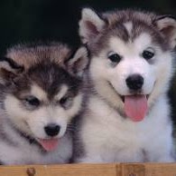 Kathleen Rivera Photo 33