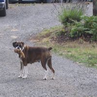 Carol Crow Photo 29