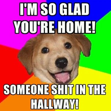 Joe Workman Photo 38