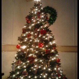 Joy Shepherd Photo 33