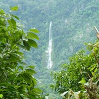 Connie Flanery Photo 8