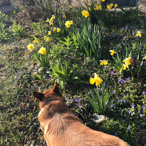 Nancy Huggins Photo 5