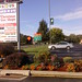 Nancy Backus Photo 23
