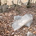 Robert Vance Photo 22