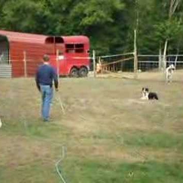 Stacey Bryan Photo 18