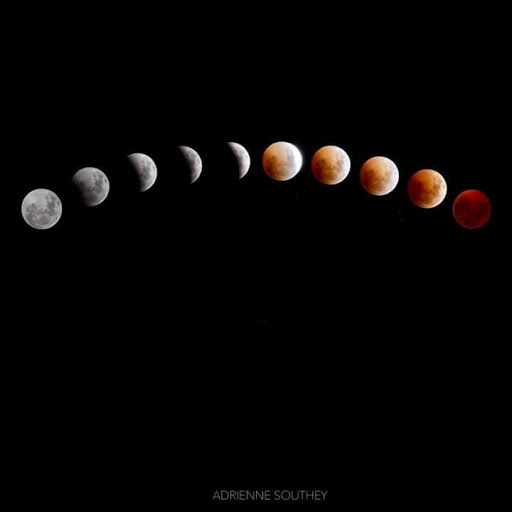 Robyn Thomson Photo 8