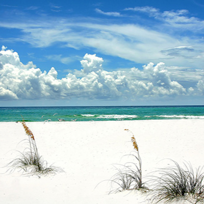 Suzanne Howell Photo 33