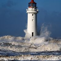 Pat Rice Photo 25 Pat Rice Photo 25