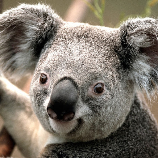 Cristina Vargas Photo 5