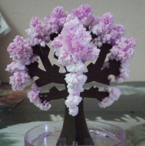 Elizabeth Roldan Photo 10