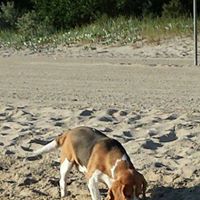 Christine Hildebrand Photo 12