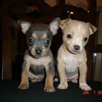 Paula Posey Photo 14