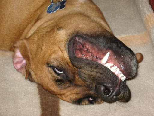 Teresa Bowden Photo 8