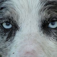 Debbie Hope Photo 13