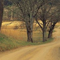 Tracy Bacon Photo 16