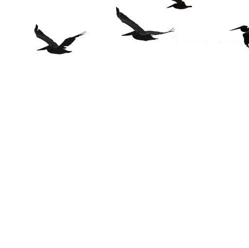 Kevin Powers Photo 49