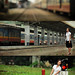 Tam Bui Photo 13