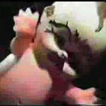 Jeffrey Pickett Photo 27