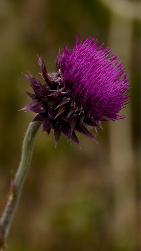 Traci Davis Photo 45