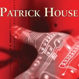 Patrick House Photo 26