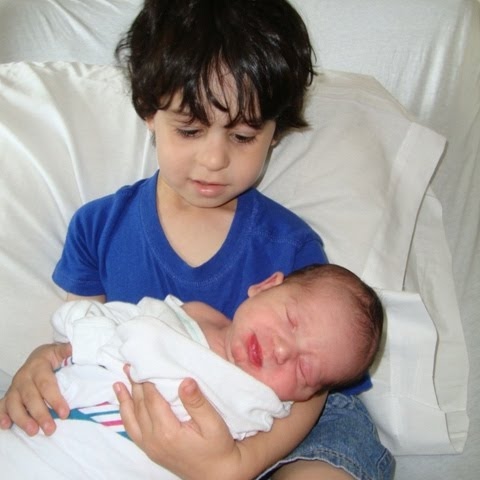 Nancy Greenberg Photo 13