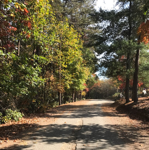 Jessica Ramirez Photo 10